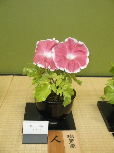 c0152507_42469.jpg