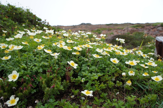 a0248508_21133032.jpg