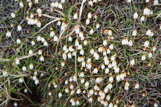 a0248508_2151548.jpg