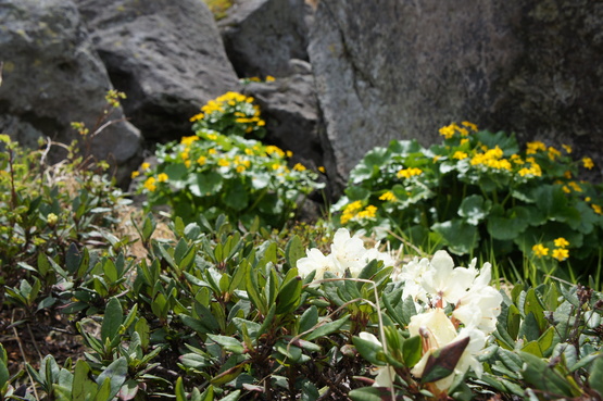 a0248508_22121598.jpg
