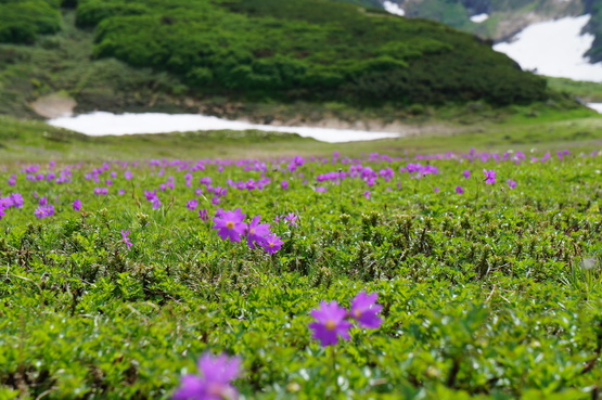 a0248508_221406.jpg