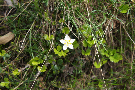 a0248508_22143051.jpg