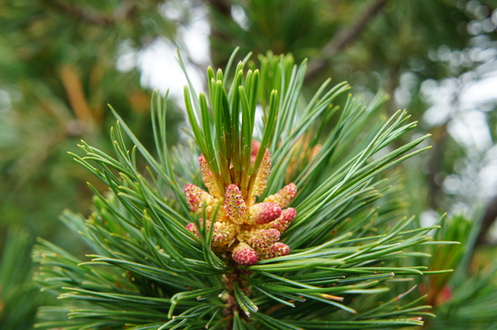 a0248508_22165770.jpg