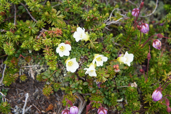 a0248508_22184041.jpg