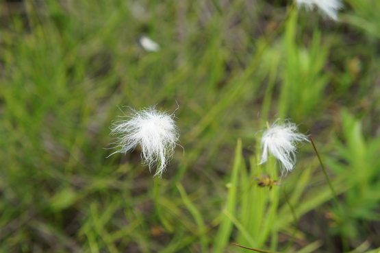 a0248508_2222012.jpg