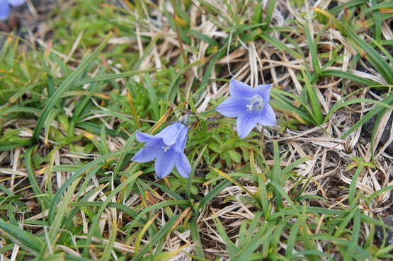 a0248508_2251441.jpg