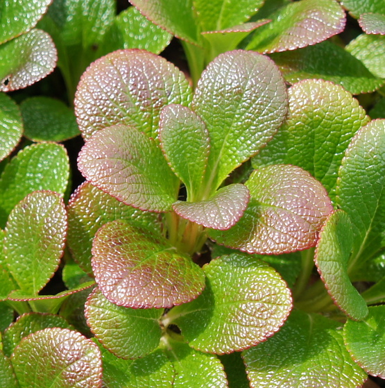 a0248508_2275881.jpg