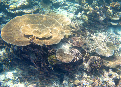 d0298808_13164054.jpg