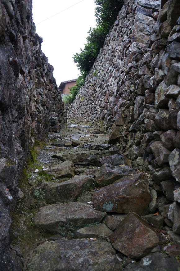 d0237309_22124125.jpg