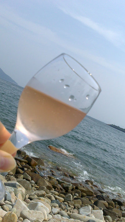 夏のピクニック_f0134809_14173441.jpg