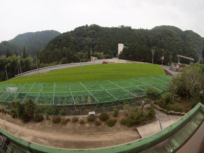 小雨のち曇り、時に日が射し_c0116915_2253264.jpg