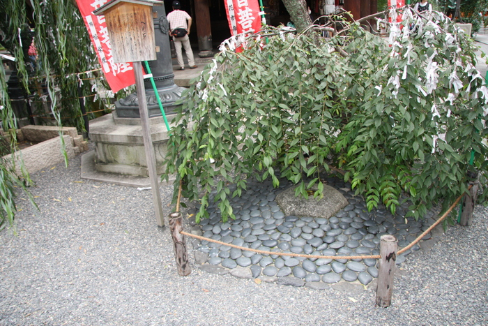 a0122325_162617.jpg