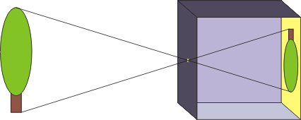 b0211627_21524145.png