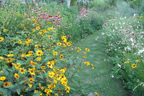 c0107129_15902.jpg