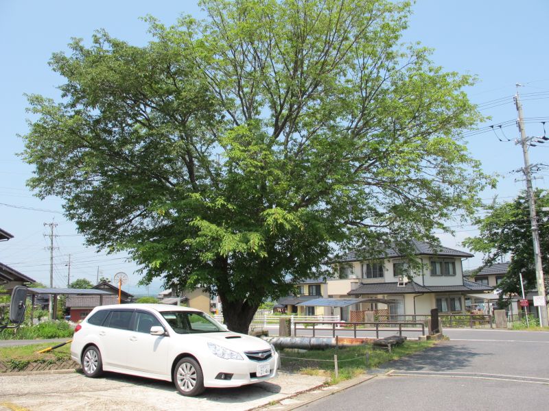 スバルが放つ最良の限定車_f0076731_1846247.jpg