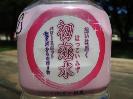 想いは届く、「初恋水・百恋水」 ~パワースポット龍泉洞から~_b0206037_131733.jpg