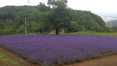 e0255945_22554221.jpg
