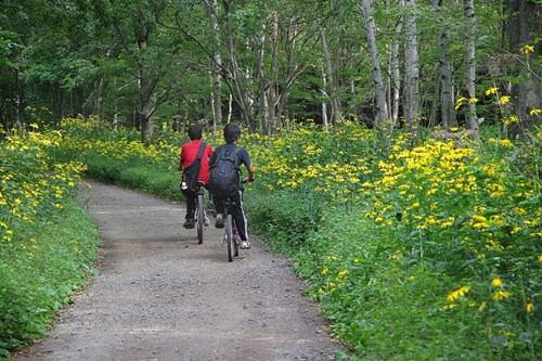 ’１３　野幌森林公園で_b0186551_22324198.jpg