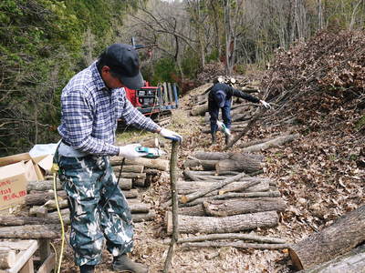 わが家のきのこ狩り!おうちで原木しいたけ栽培 その1_a0254656_1815518.jpg