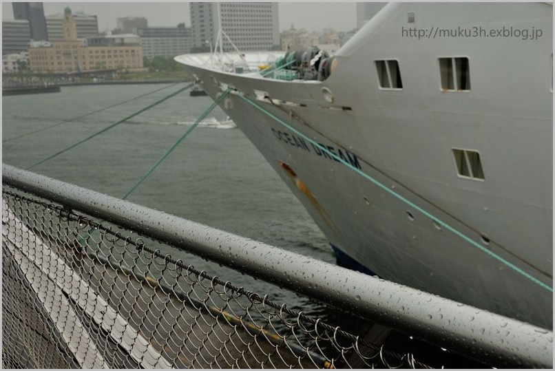 雨降る桟橋_c0124256_1829540.jpg