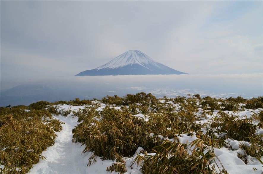 本栖湖から竜ヶ岳_a0307264_2323171.jpg