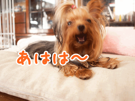 e0248268_657263.gif