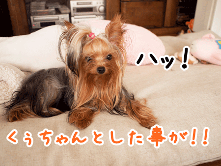 e0248268_6581533.gif