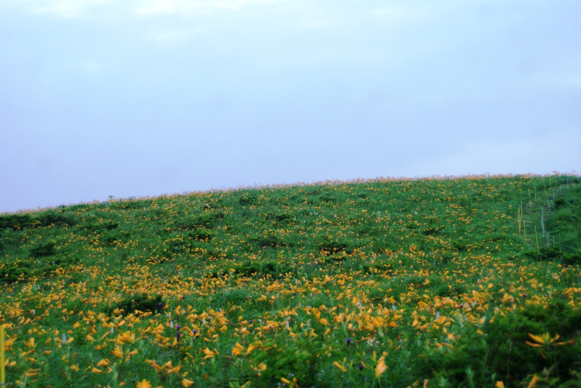 a0053771_16412124.jpg
