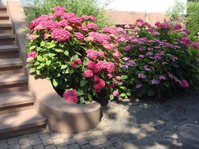 a0184173_385517.jpg