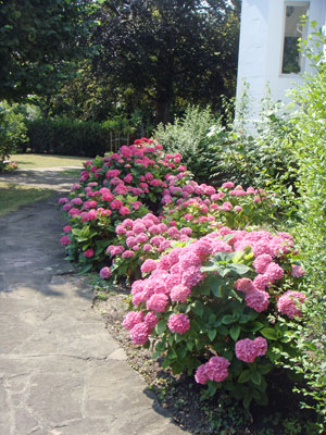 a0184173_39965.jpg
