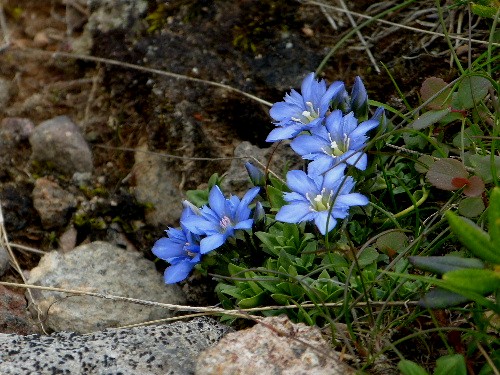 d0084473_2034325.jpg