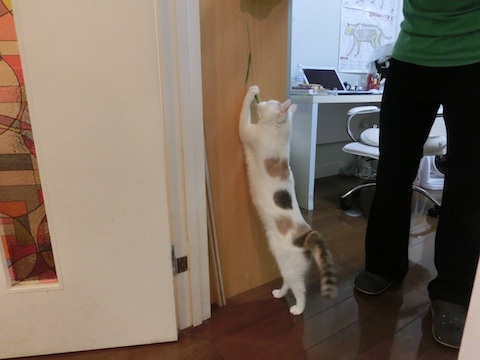 f0150073_10252012.jpg