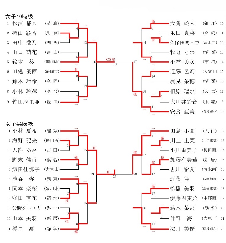 平成25年度 静岡県中学校総合体育大会柔道競技 女子個人戦 道場日記 不定期便 平成25年度 静岡県中学校総合体育大会柔道競技 女子個人戦 道場日記 不定期便