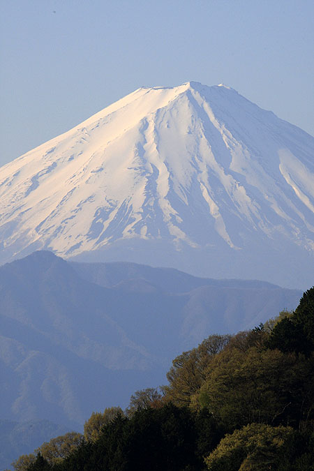 d0179883_74739.jpg