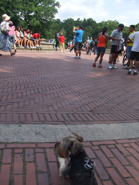 c0253487_05169.jpg
