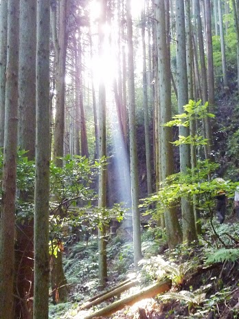 久しぶりにきらめ樹ました☆_e0263590_0551659.jpg