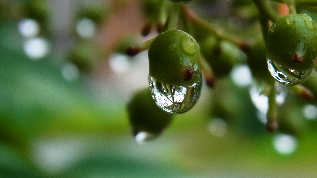 a0152692_1817668.jpg
