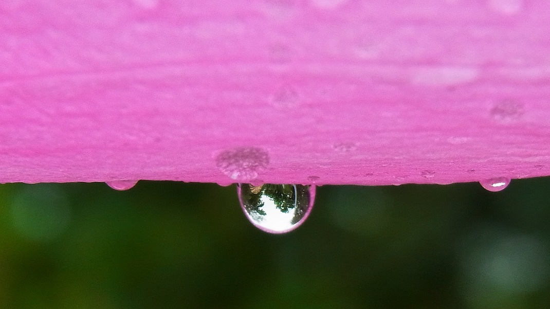 a0152692_1824062.jpg