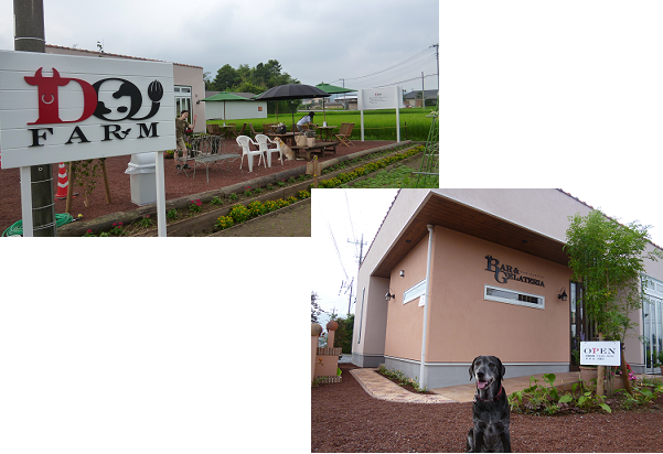 d0282395_1942769.png