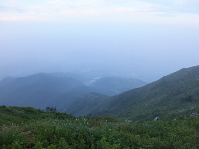 早朝の伊吹山頂お花畑　～７月_a0271502_11484748.jpg