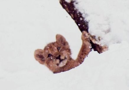 c0155902_19495592.jpg
