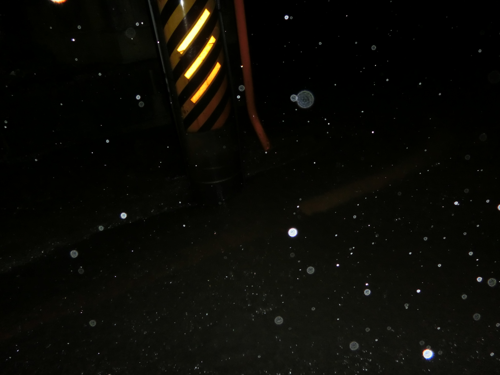a0203003_0452979.jpg