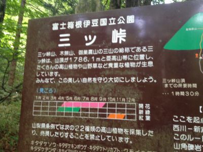 フジサンに行きました←半分ウソ~_e0239908_2039257.jpg