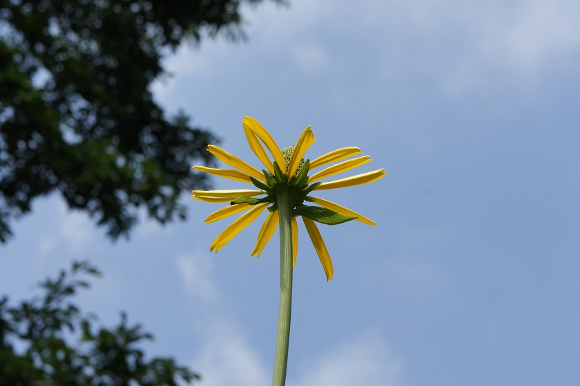 b0112909_2345946.jpg