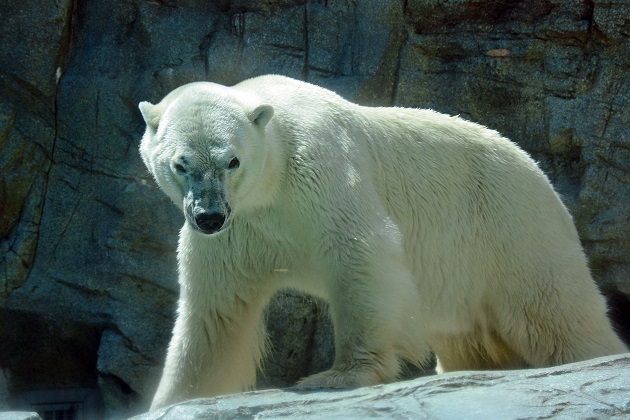 a0151913_2214446.jpg