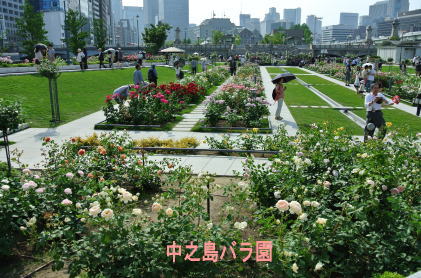 ROSE GARDEN in Nakanoshima_e0099614_23562580.jpg