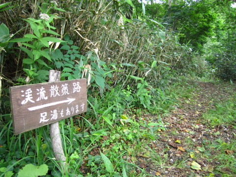 b0147224_23542411.jpg