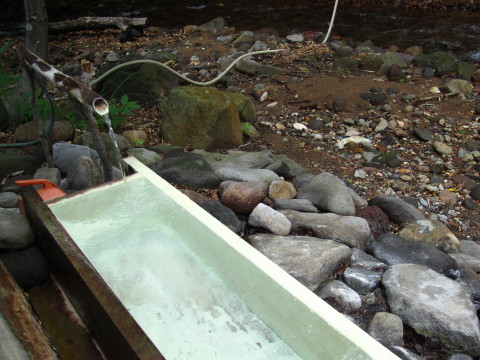 b0147224_23564546.jpg
