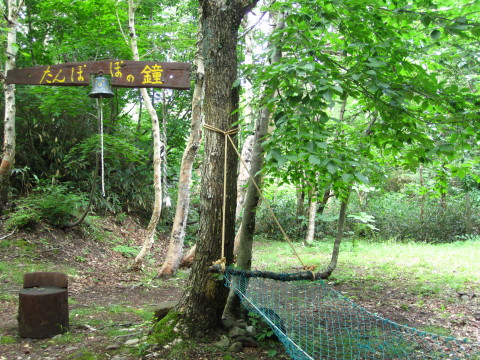 b0147224_2356780.jpg