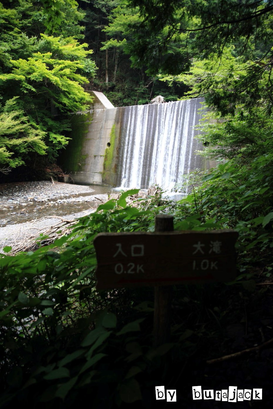 e0220828_21405481.jpg